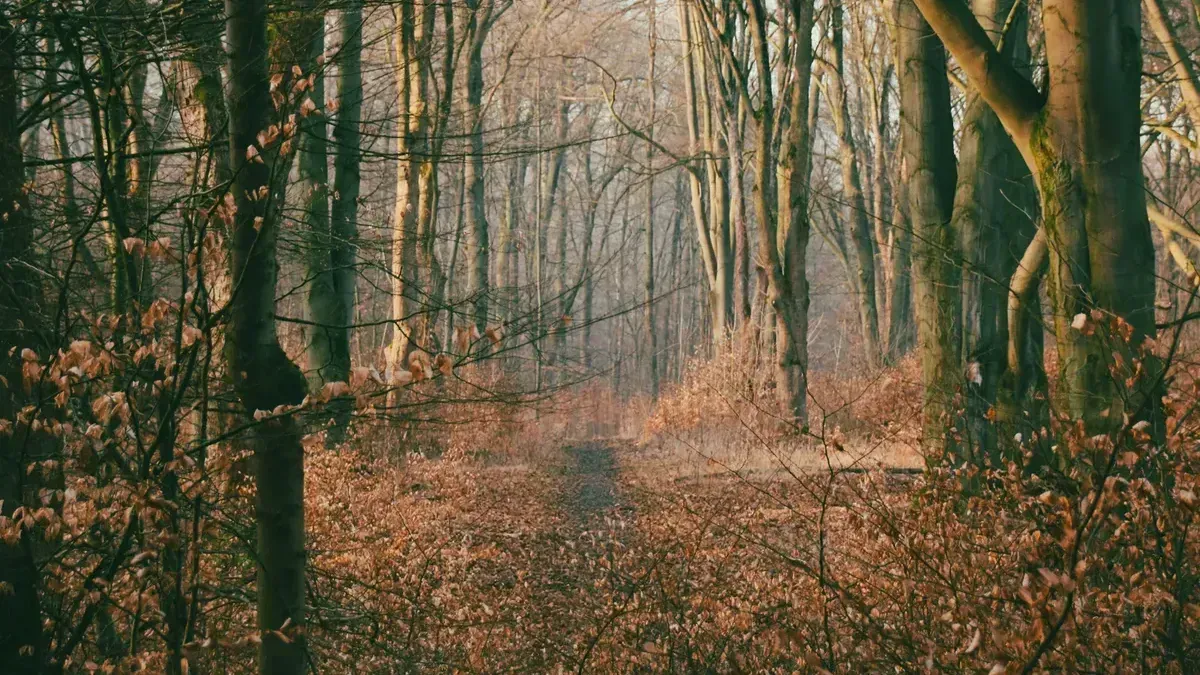 Zwischen Feldwegen und Frühlingsgrün: Selbstversorgung auf leisen Sohlen